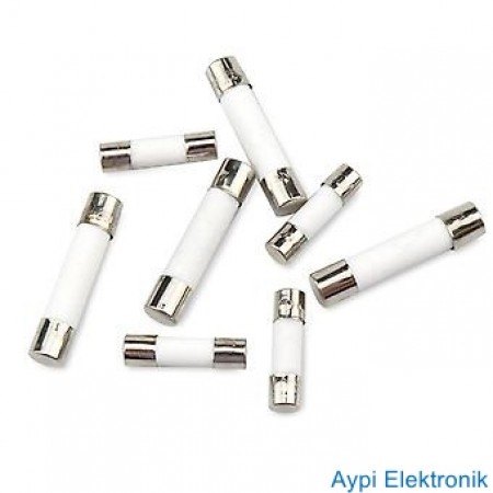 SERAMİK SİGORTA 5*20 2.5A  250V