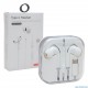 POWERMASTER PG3-3 TYPE-C GİRİŞLİ MİKROFONLU KULAKLIK - 2710